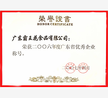 廣東省優秀企業