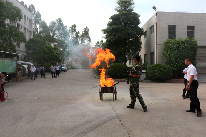 1533271763648338.jpg 3.jpg