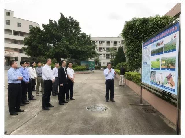 1534328121995812.jpg 2.jpg