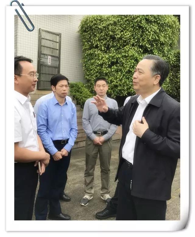 1534328135439799.jpg 4.jpg