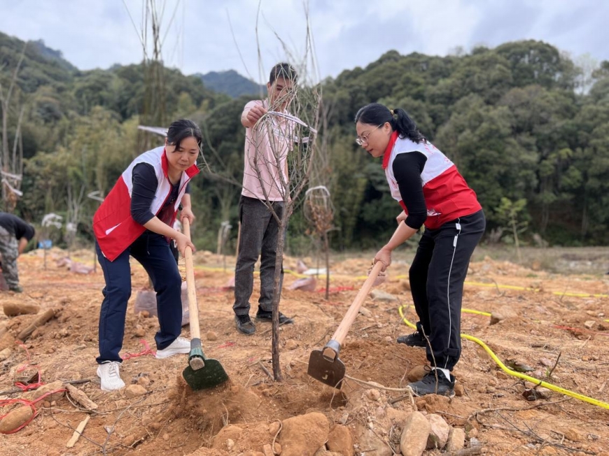 1712735303823987.jpg 圖片2.jpg